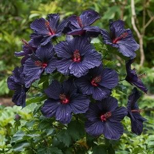 Гибискус Мэджик Момент купить по цене от 699р. в интернет-магазине «Посадика» с доставкой почтой в в Приозерске и по всей России – [изображение №1].